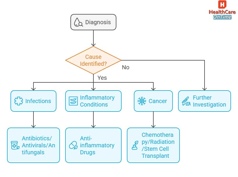high white blood cell count diagnosis and treatment infographic