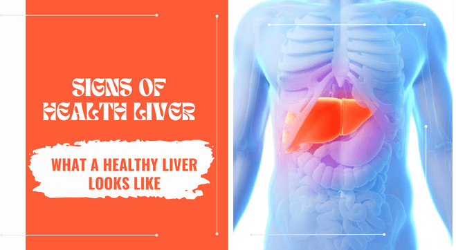 Signs of a Healthy Liver: How To Know If Your Liver Is Healthy?