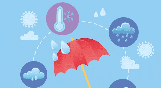 Which Are the Most Common Type of Diseases During Rainy Season