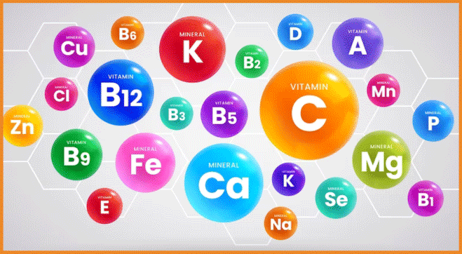 Nutrient-Rich Superfoods: Your Curated List of Foods Rich in Vitamins and Minerals