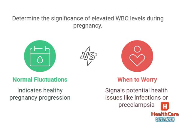 Pregnancy and High WBC Count infographic